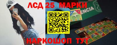 крисы Новозыбков