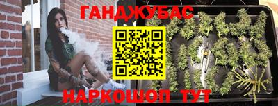 крисы Новозыбков