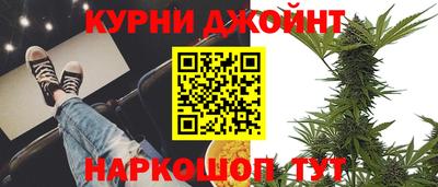 крисы Новозыбков