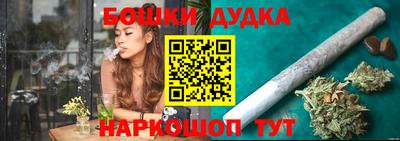крисы Новозыбков