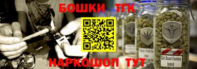 крисы Новозыбков